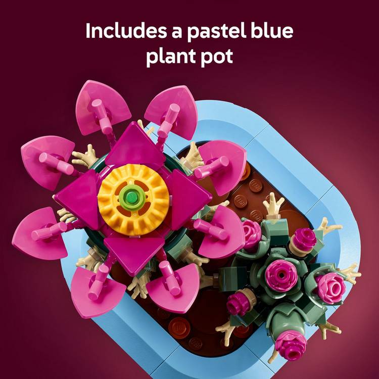LEGO 11509 Flowering Cactus building set 482 pieces (British brand)