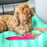 Rosewood Happy Dog Hideout green and pink canopy, UK version