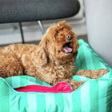Rosewood Happy Dog Hideout green and pink canopy, UK version