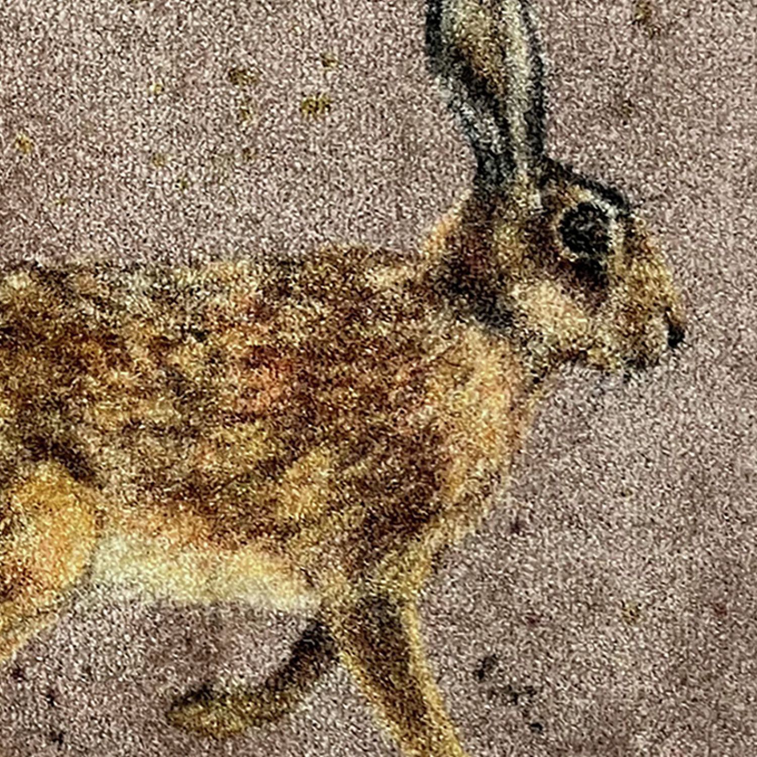 Bree Merryn hare line brown doormat 50x75cm (British brand)