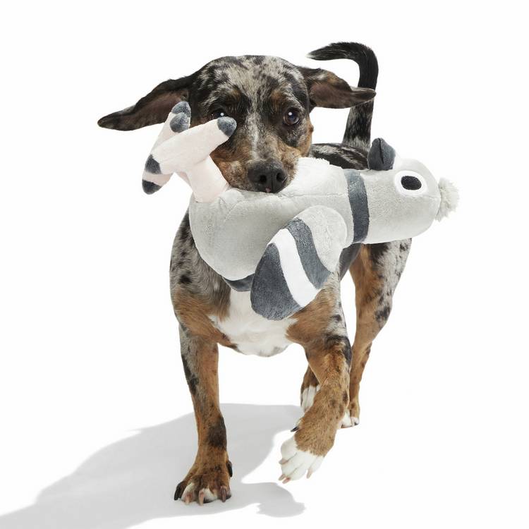 Bark Flappin Flossie flapping pigeon dog squeak toy, imported from the UK