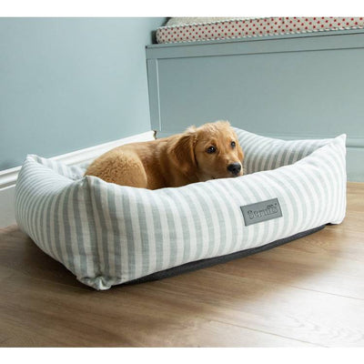 Argos Scruffs Coastal Box Bed Medium Pet Bed- Buy online at McGrocer
