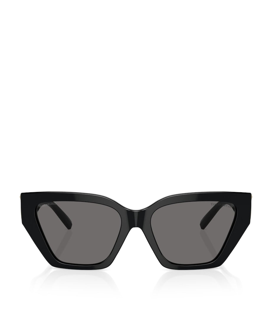Tiffany & Co. steel sunglasses TF4218 model, UK version