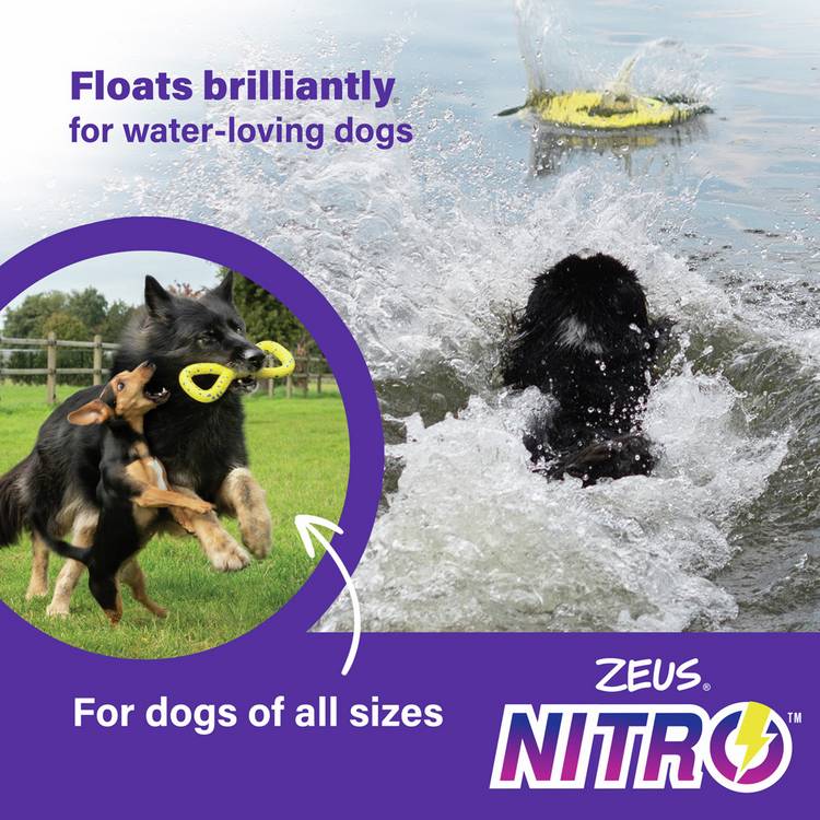 Zeus NITRO Ring dog toy 16cm, imported from the UK