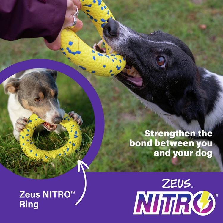 Zeus NITRO Ring dog toy 16cm, imported from the UK