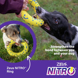 Zeus NITRO Ring dog toy 16cm, imported from the UK