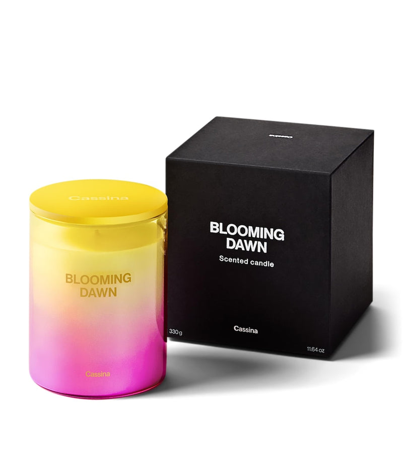 Cassina Blooming Dawn candle 330g - British product