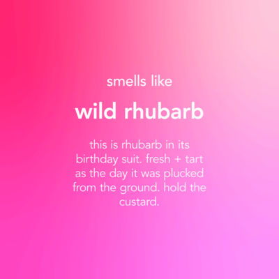 Method Wild Rhubarb antibacterial cleaner spray 828ml, imported from the UK