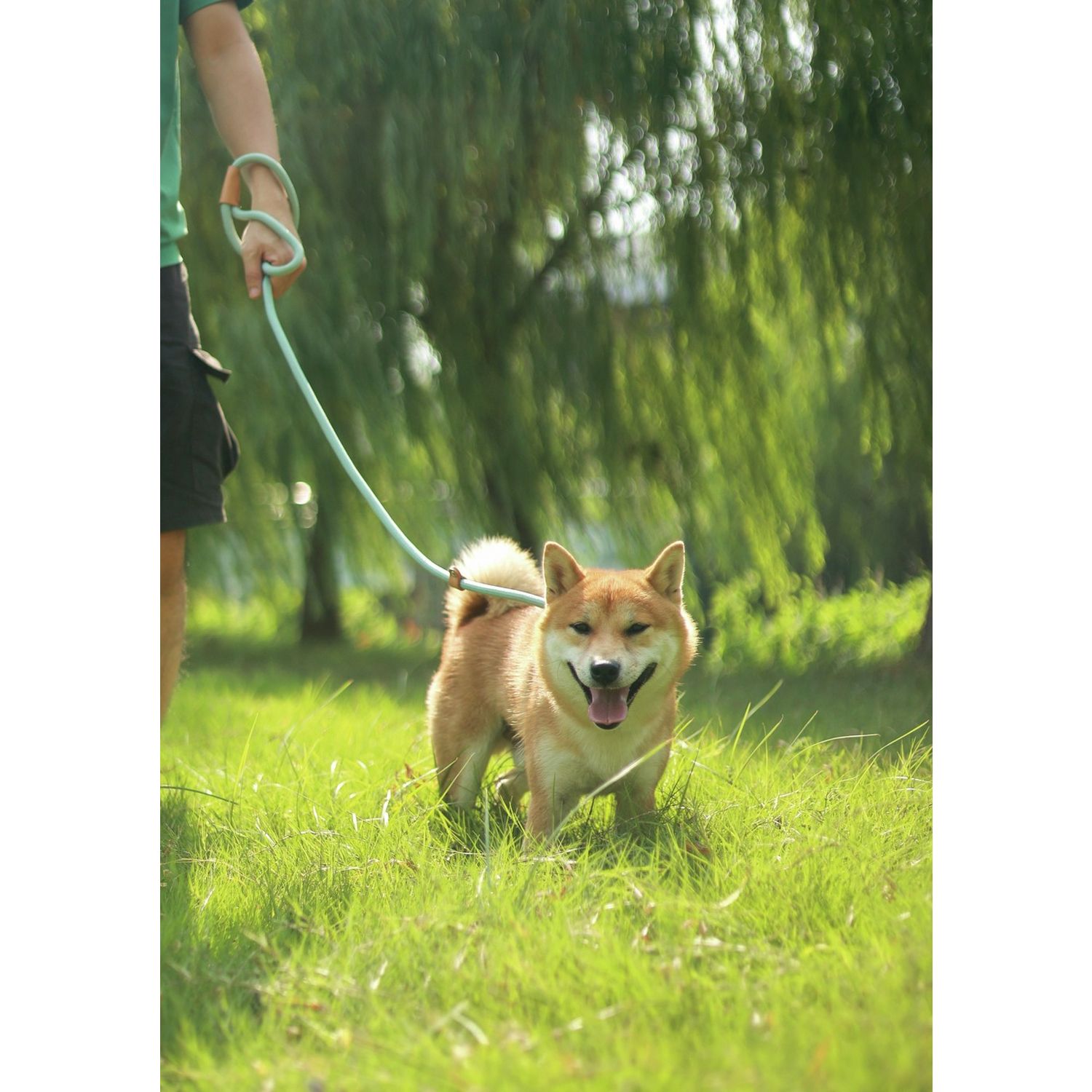M-PETS eco dog lead and collar set blue small (British brand)
