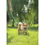 M-PETS eco dog lead and collar set blue small (British brand)