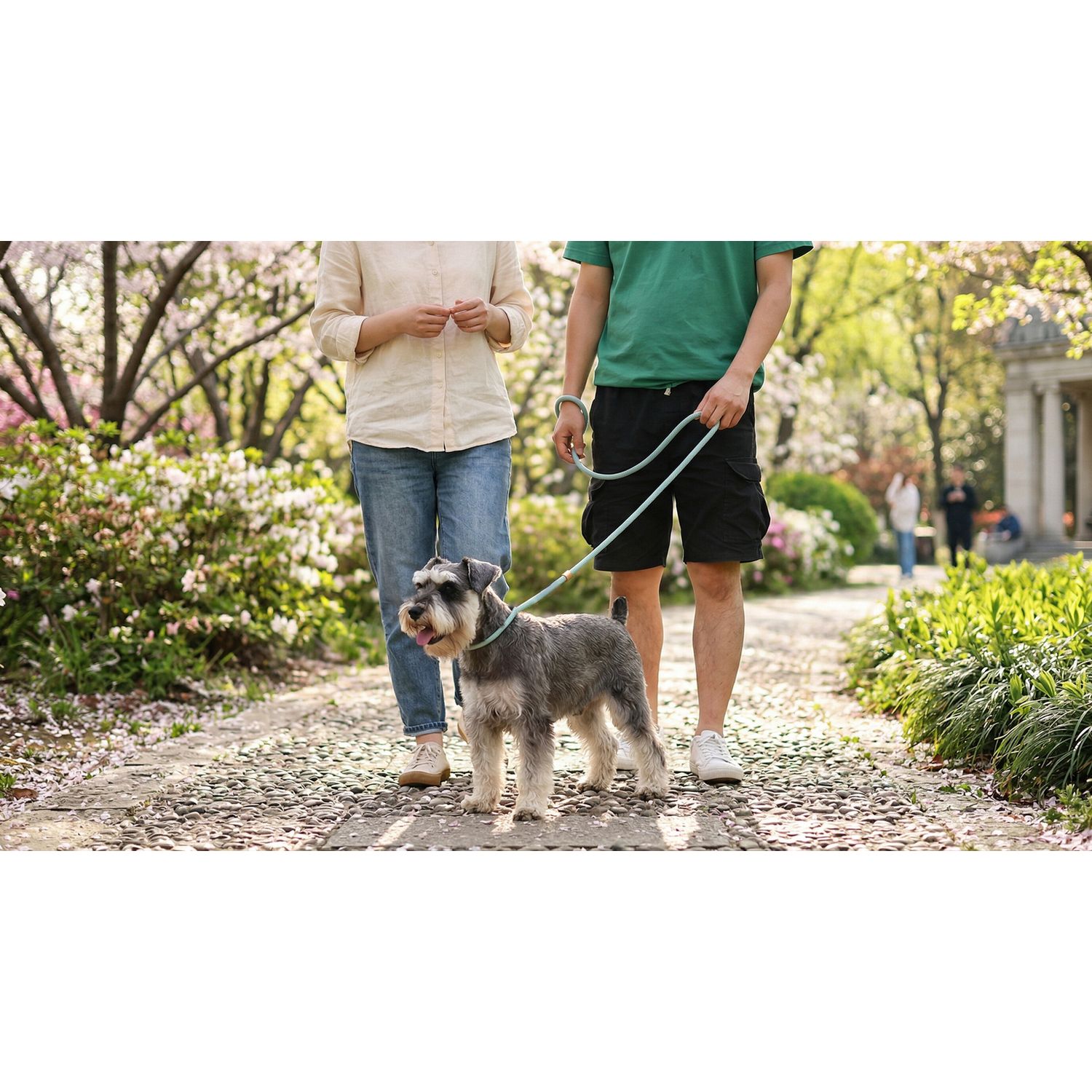 M-PETS eco dog lead and collar set blue small (British brand)