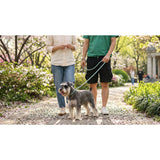 M-PETS eco dog lead and collar set blue small (British brand)