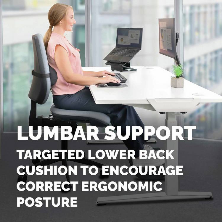 Fellowes Breyta lumbar cushion, imported from the UK