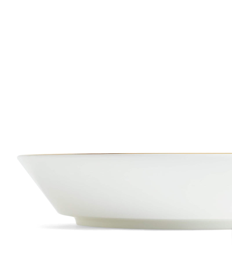 Wedgwood Renaissance Red pasta bowl 24cm (British brand)