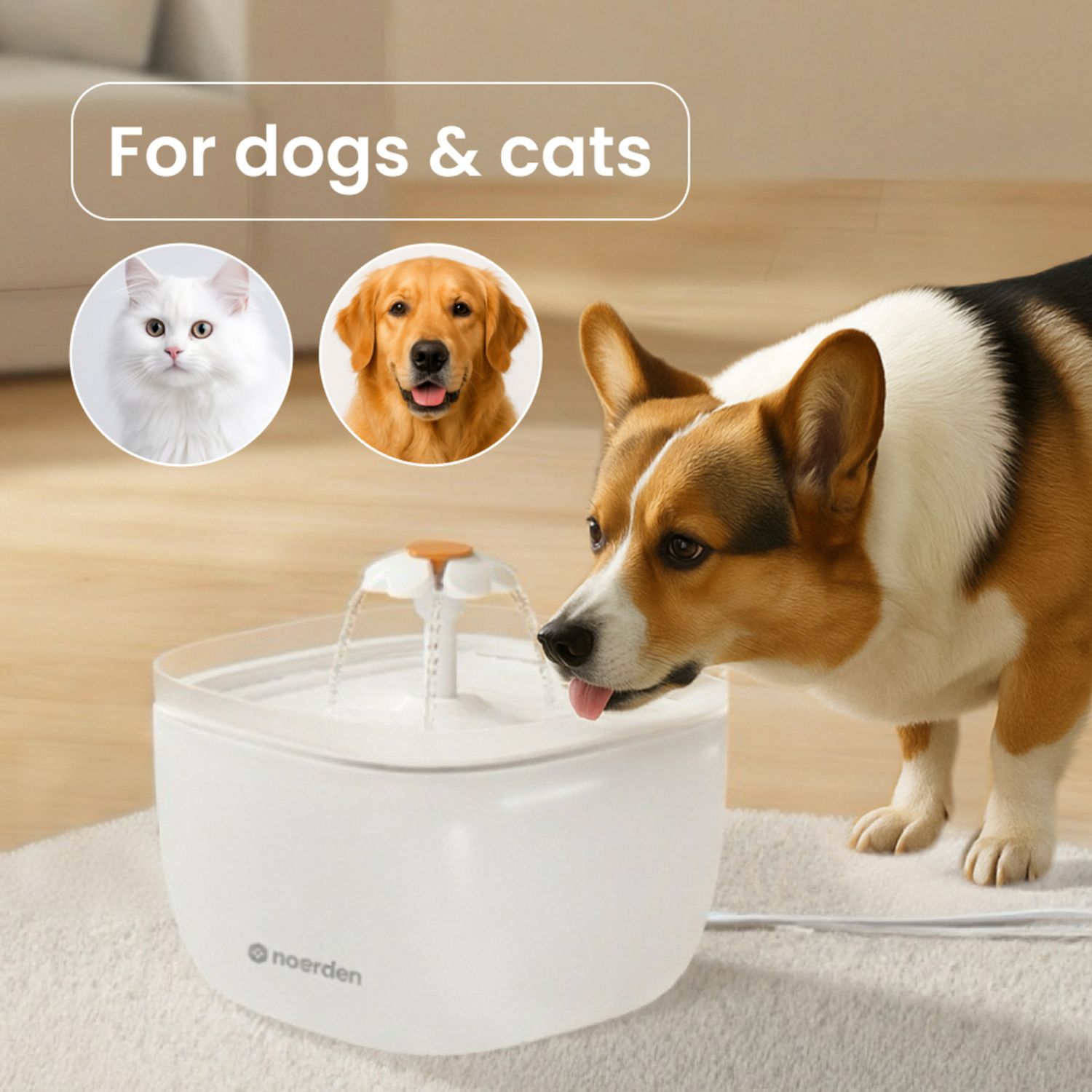 Noerden Pawquench pet water fountain 2L - British product