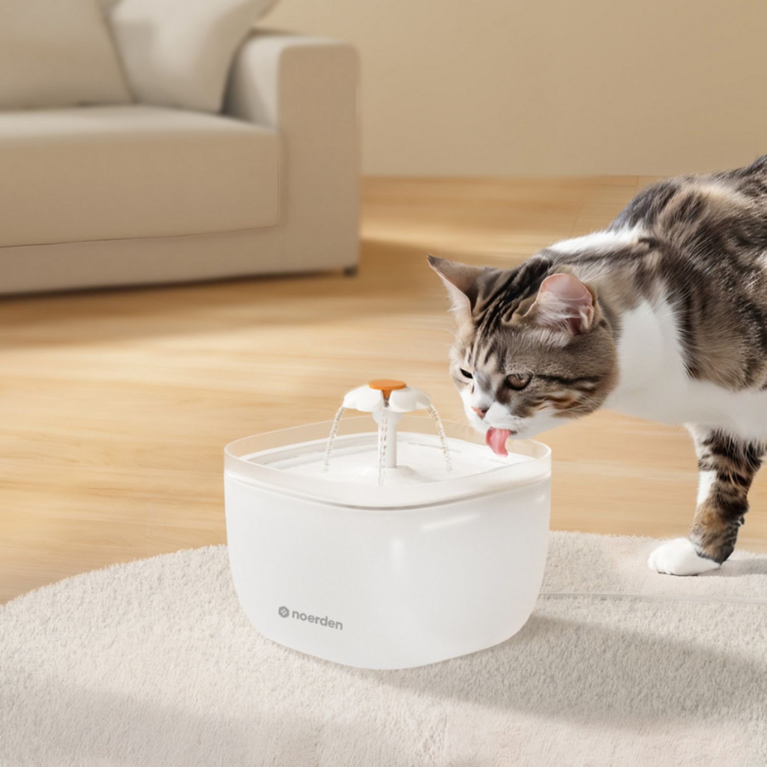 Noerden Pawquench pet water fountain 2L - British product