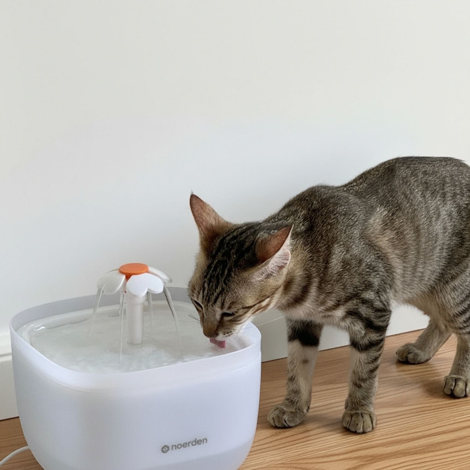 Noerden Pawquench pet water fountain 2L - British product