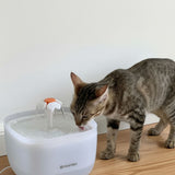 Noerden Pawquench pet water fountain 2L - British product