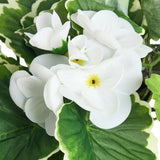 Artificial white trailing flowers ceramic pot 26cm - British product