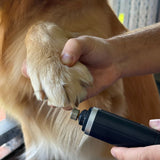 Noerden PawMani wireless nail grinder for dogs and cats, UK version
