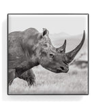 Chantecaille Rhinoceros Luminous Eye Shade - British product