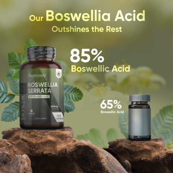 WeightWorld Boswellia Serrata extract supplement 180 capsules, UK version