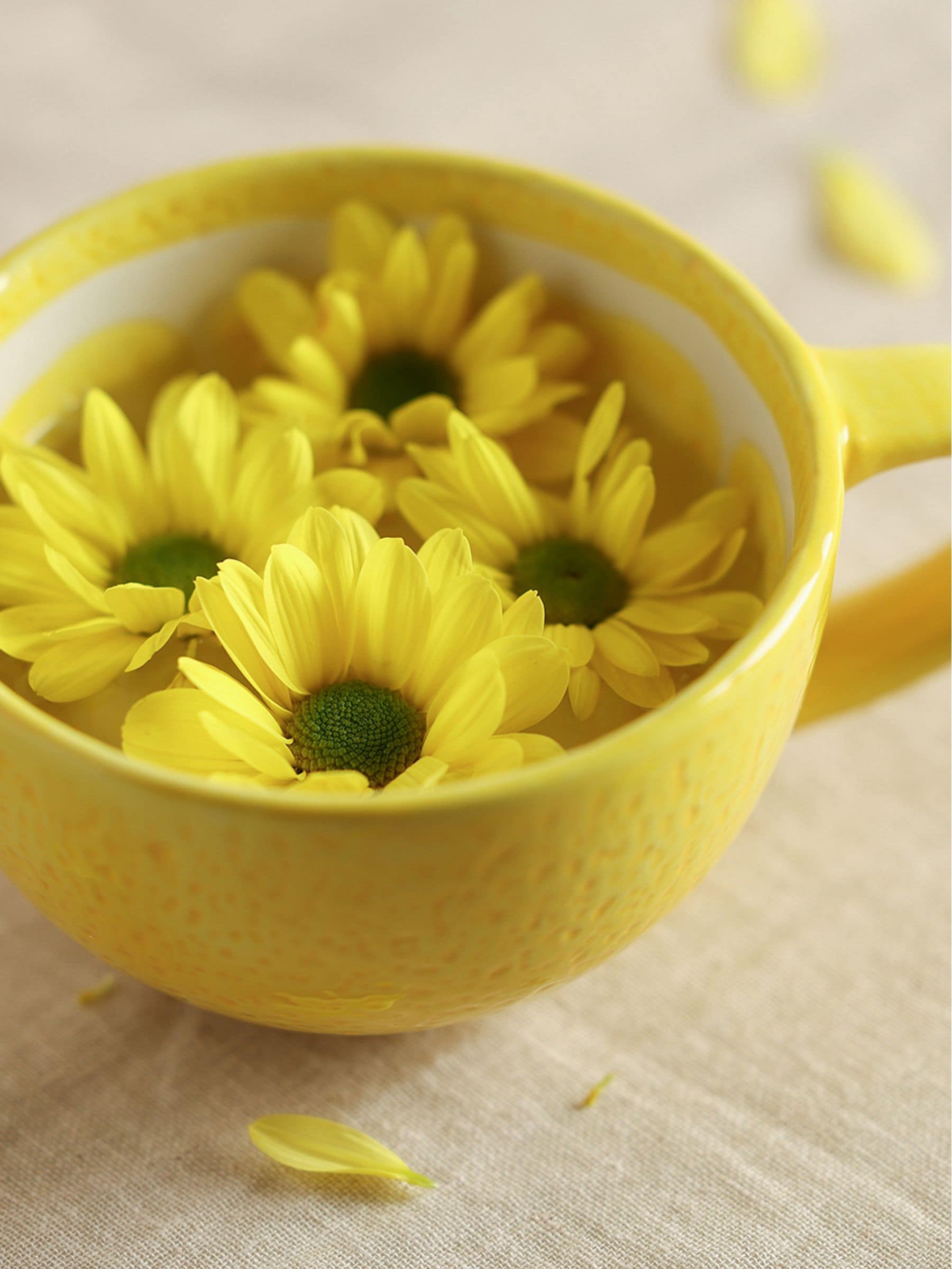 Widdop Yellow Lemon Slice Mug ceramic kitchenware (British brand)