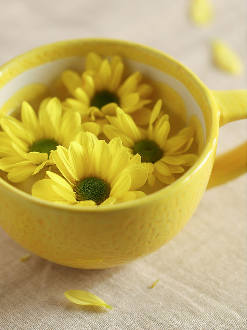Widdop Yellow Lemon Slice Mug ceramic kitchenware (British brand)