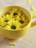 Widdop Yellow Lemon Slice Mug ceramic kitchenware (British brand)