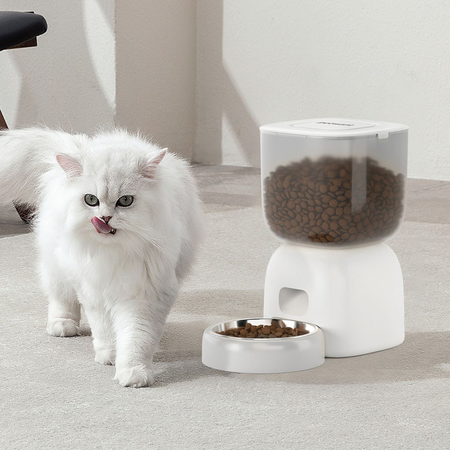 Noerden Petplate smart Wi-Fi pet feeder 3L - British product
