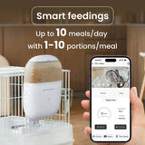 Noerden Hoppy small pet camera feeder 1.8L - British product