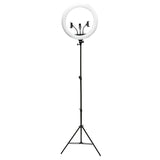 Rio Professional Ring Light LED large (British brand)