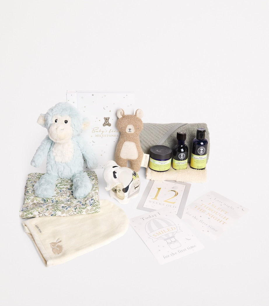 Bumbles & Boo Cheeky Monkey baby hamper (British brand)