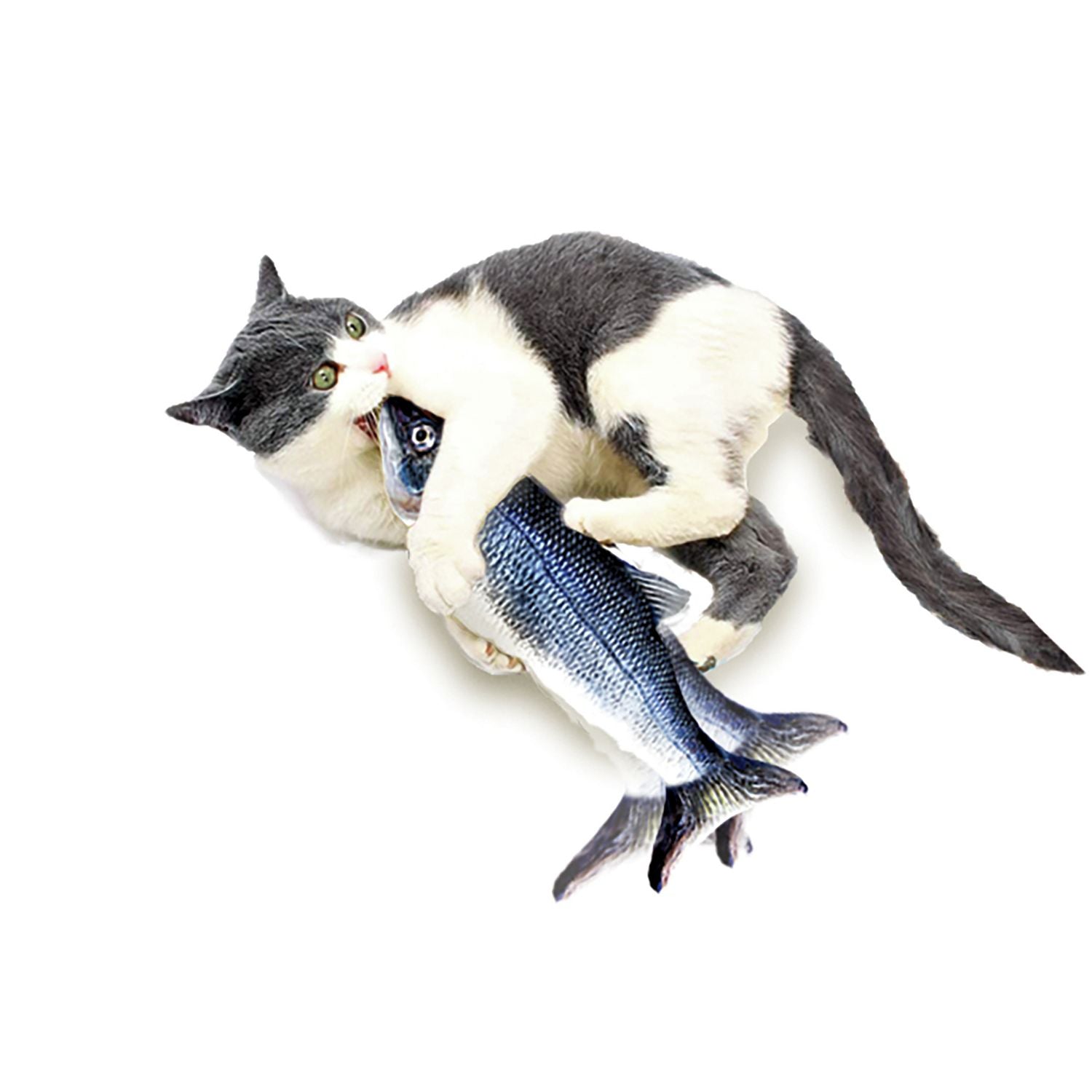 JML Flippity Fish cat toy - British product