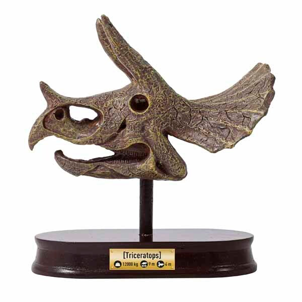 Buki dinosaur skull model kit Triceratops - British product