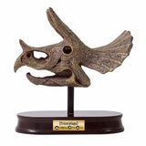 Buki dinosaur skull model kit Triceratops - British product