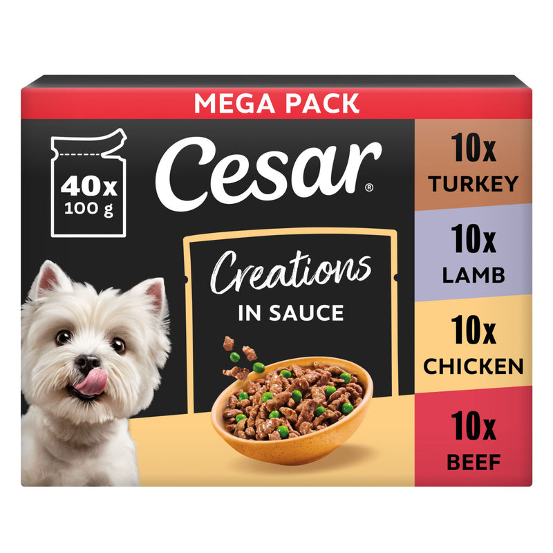 Cesar dog food pouches favourites in gravy 40x100g - British product
