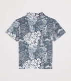 Roberto Cavalli cotton polo shirt kids 4-14 years, imported from the UK