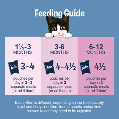 Felix Original Kitten mixed selection wet cat food 12x85g, UK version
