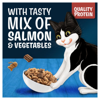 Felix Doubly Delicious salmon dry cat food 2kg - British product