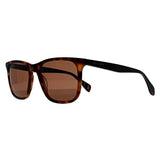 Ted Baker Jacobe Brown sunglasses, imported from the UK