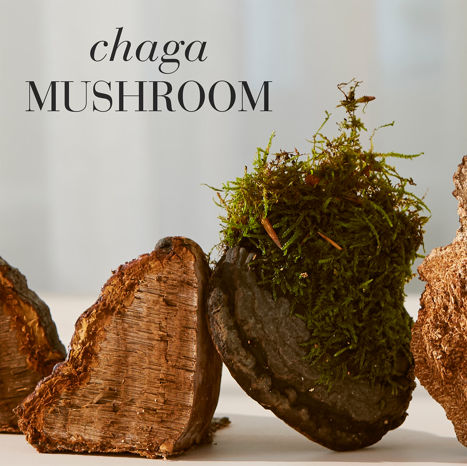 New Nordic Chaga mushroom extract tablets 30 (British brand)