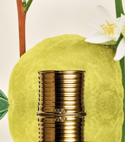 شمعة معطرة Earl Grey من LOEWE من Harrods - اشترِ عبر الإنترنت من McGrocer