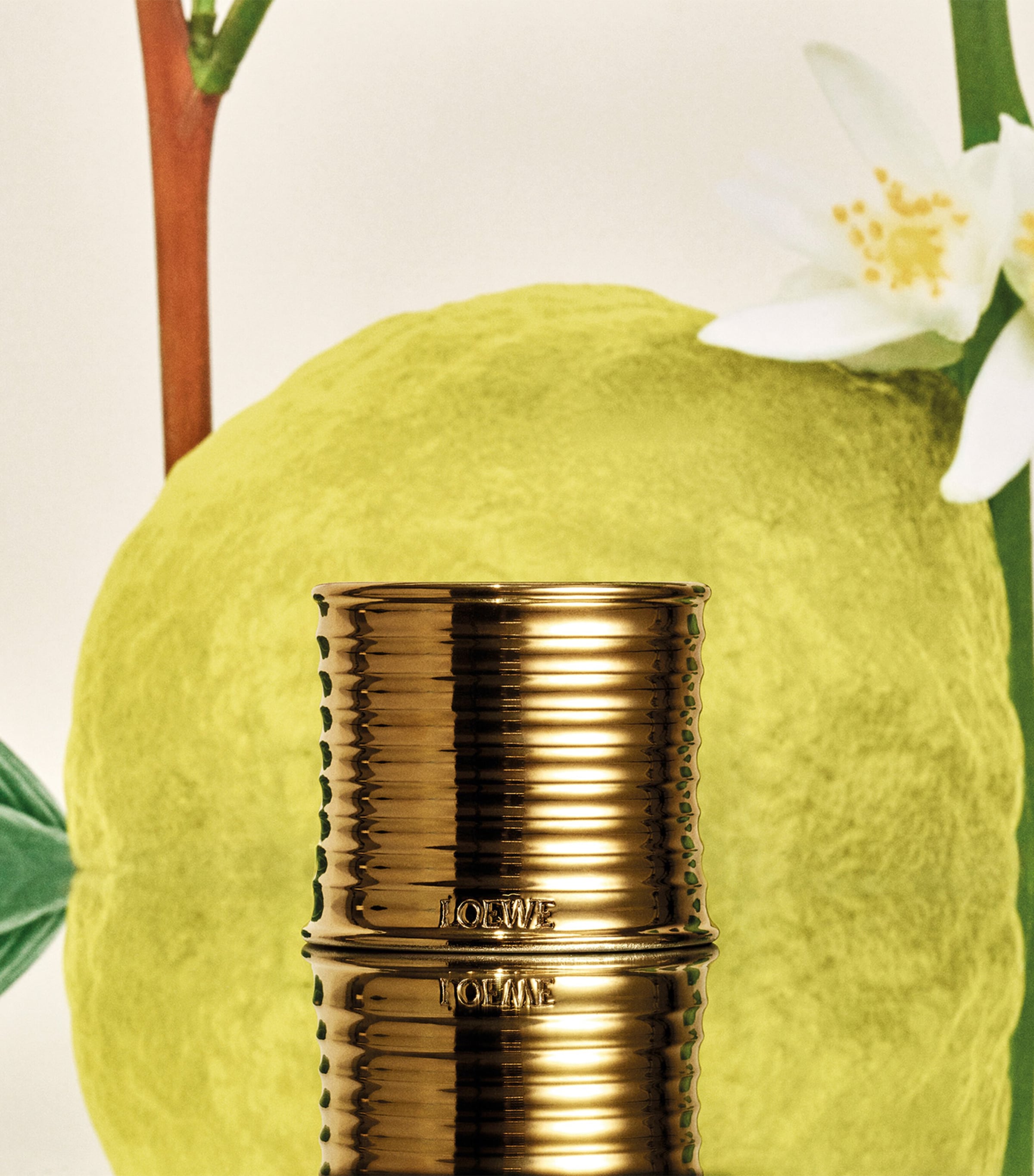 LOEWE Earl Grey scented candle, UK version