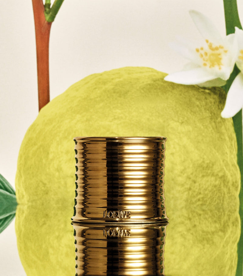 LOEWE Earl Grey scented candle, UK version