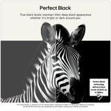 LG OLED55B6ELC 55 inch 4K OLED TV - British product