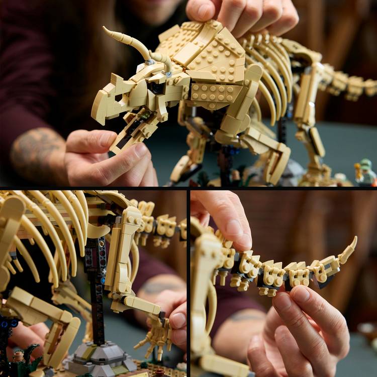 LEGO dinosaur skeleton model Triceratops set 77985 - British product