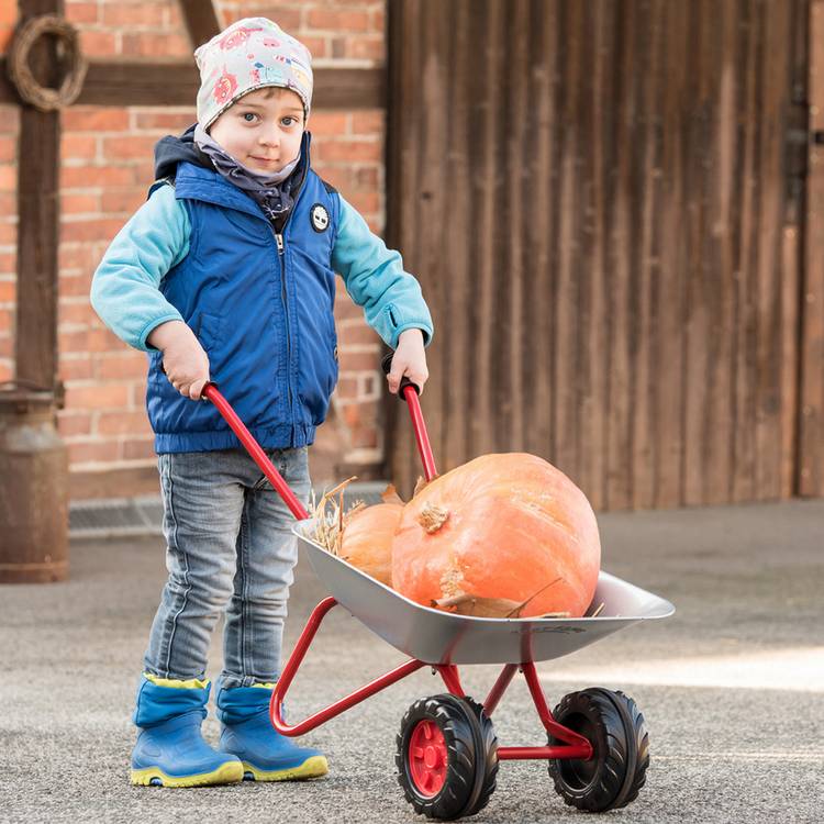 Rolly kids wheelbarrow with two front wheels - British product