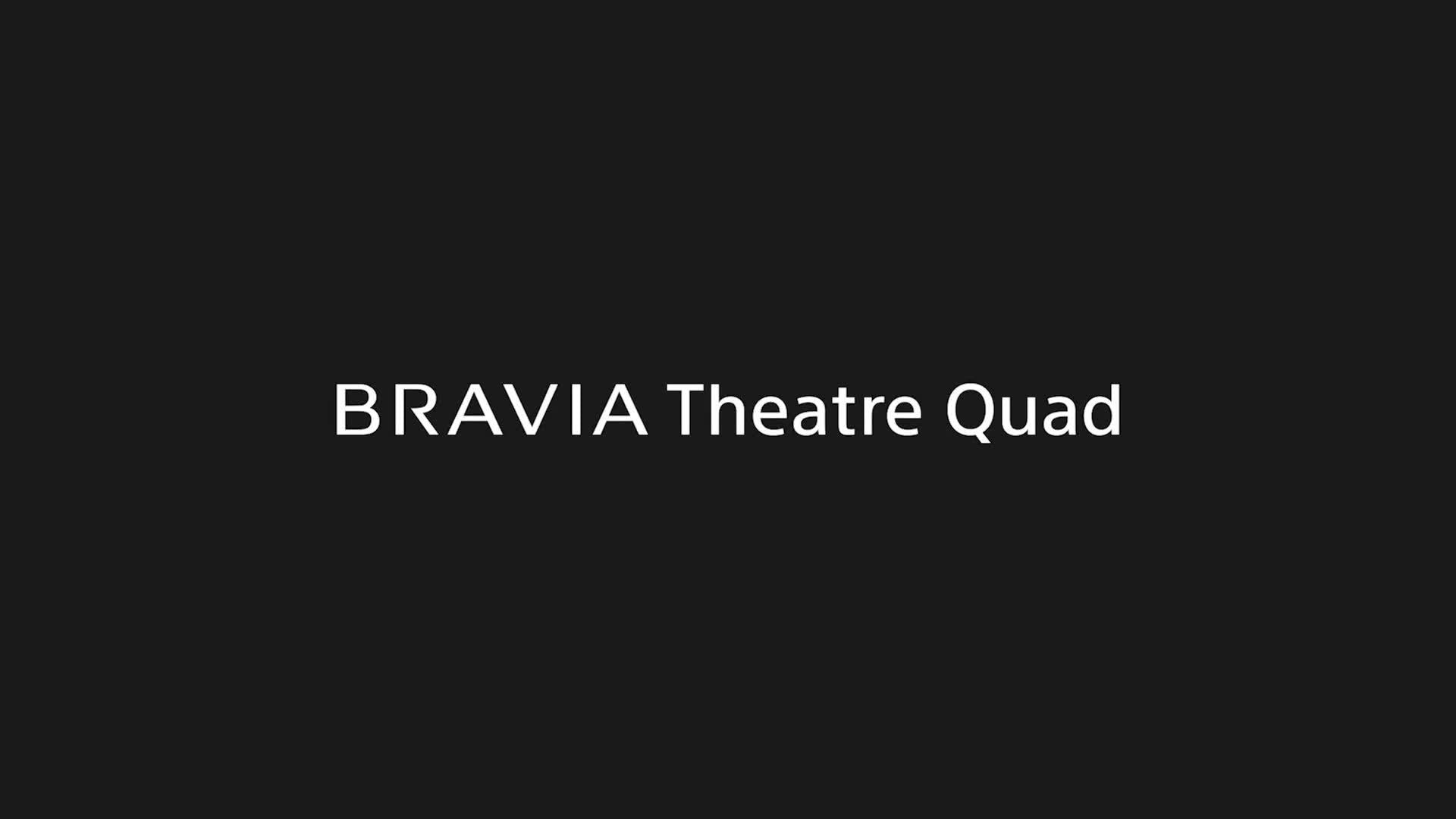 Sony Bravia Theatre Quad home theatre speaker system (British brand)