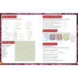 Wonders of Learning activity book with stickers or puzzles - British product